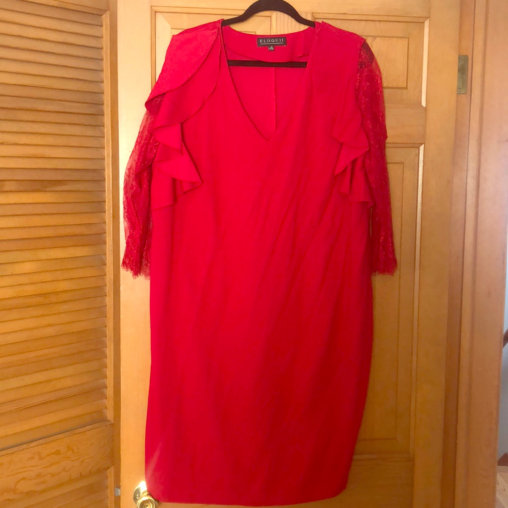 Red Lace Sleeve Dress